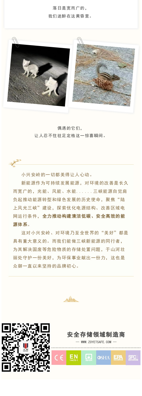 做小興安嶺綠色能源之鄉(xiāng)的守護(hù)者(圖4)